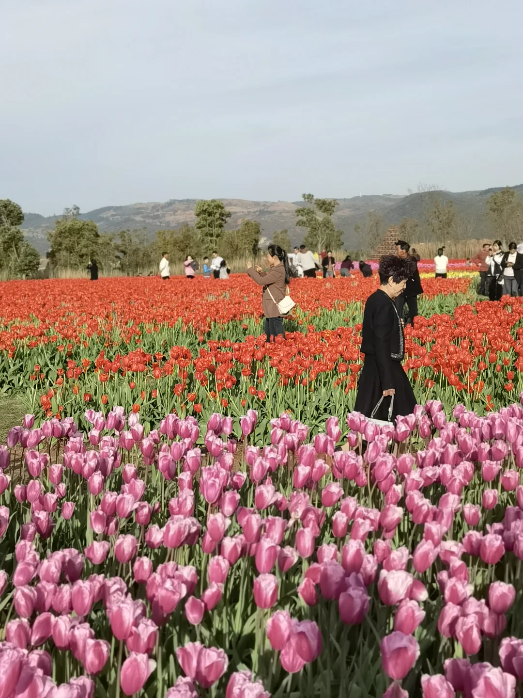 弥勒，云南亲子游宝藏地