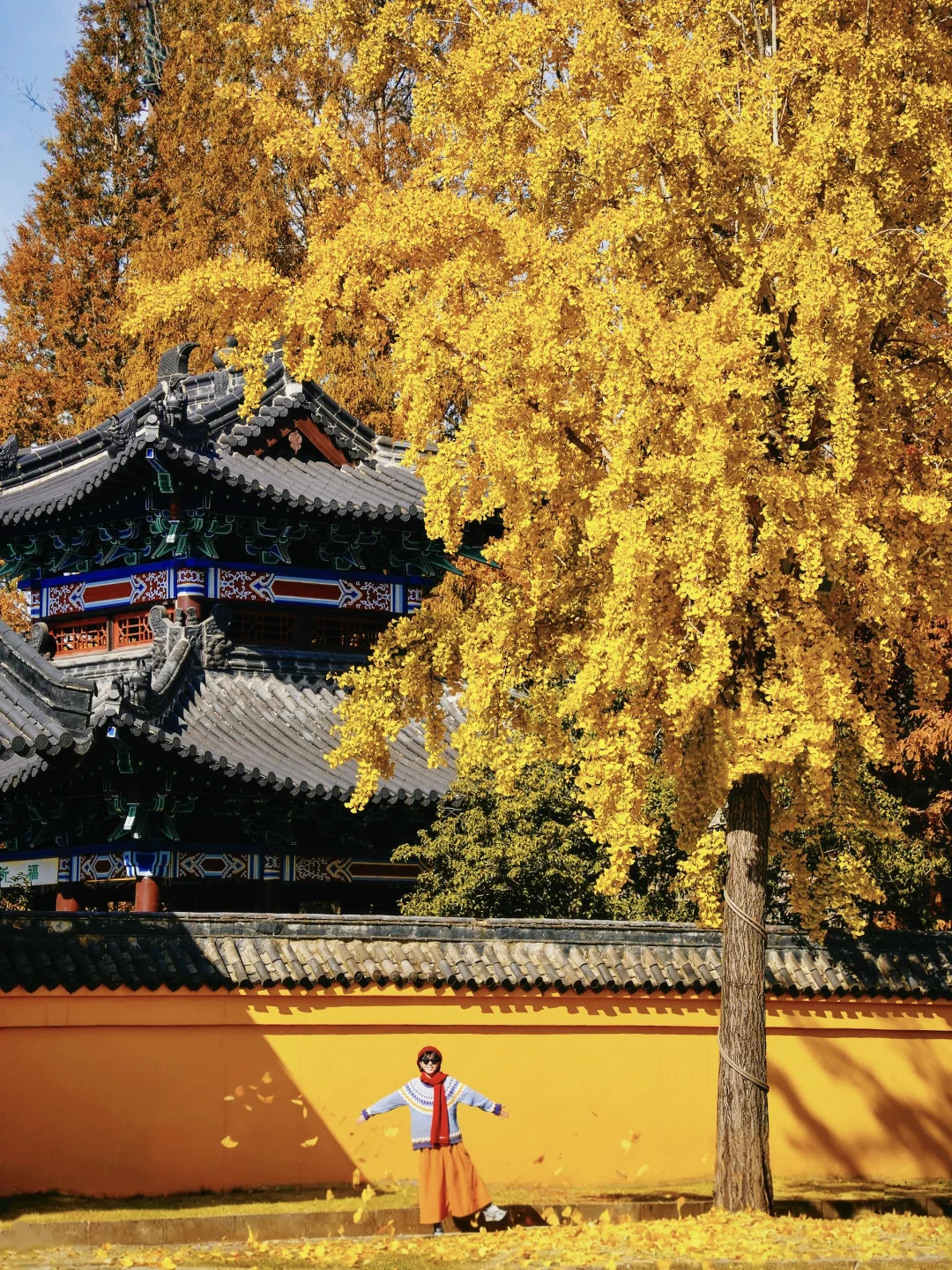 迄今为止,我最喜欢的赏秋小城出现了!美哭😭