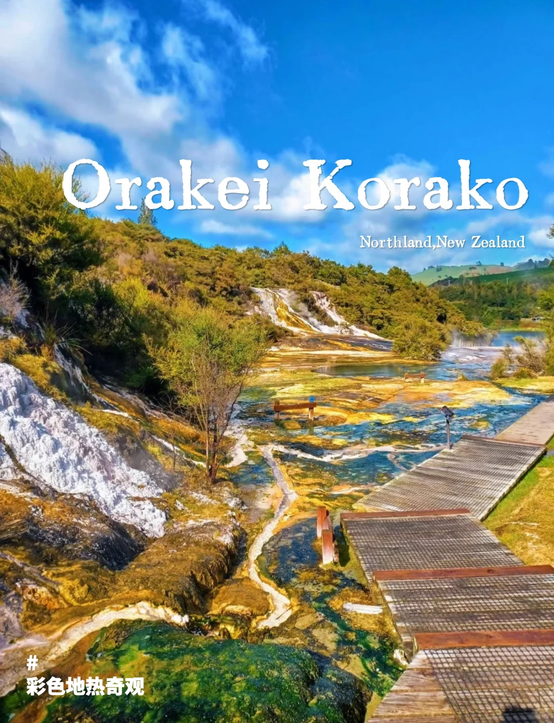 新西兰绝密仙境|乘船才能进的地热山谷🌋