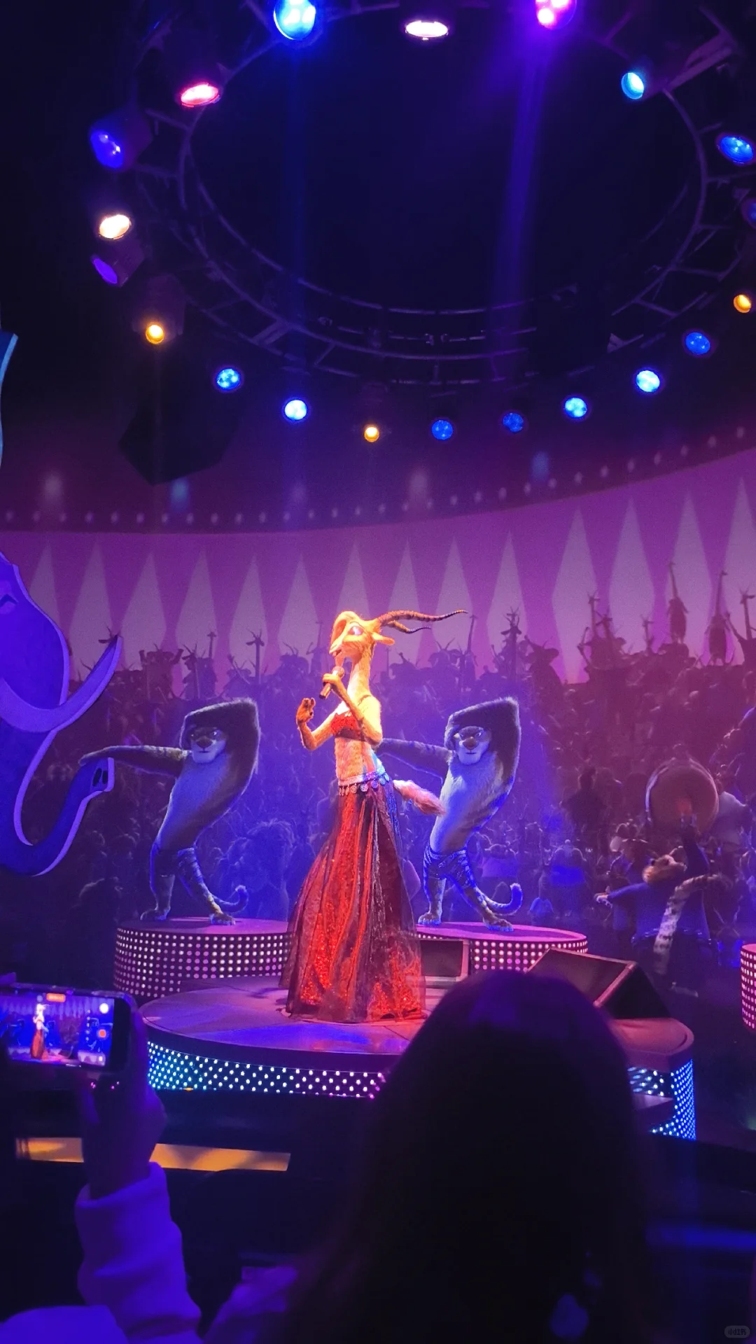 三刷迪士尼总结的必刷项目