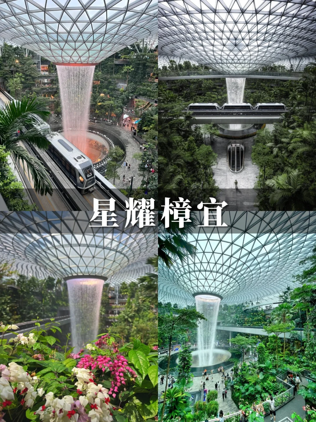 GO❗❗嗨玩不费妈必冲😍新加坡亲子5日游