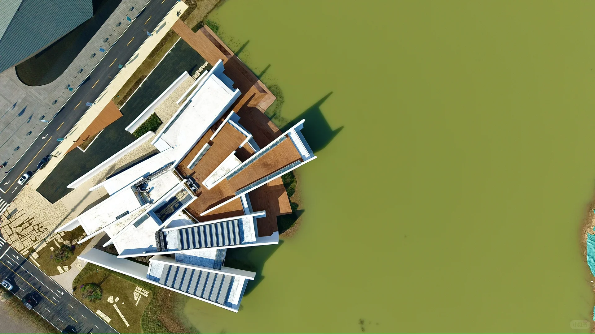 在武汉蔡甸找到了鹿客岛的平替,乌桕树已红