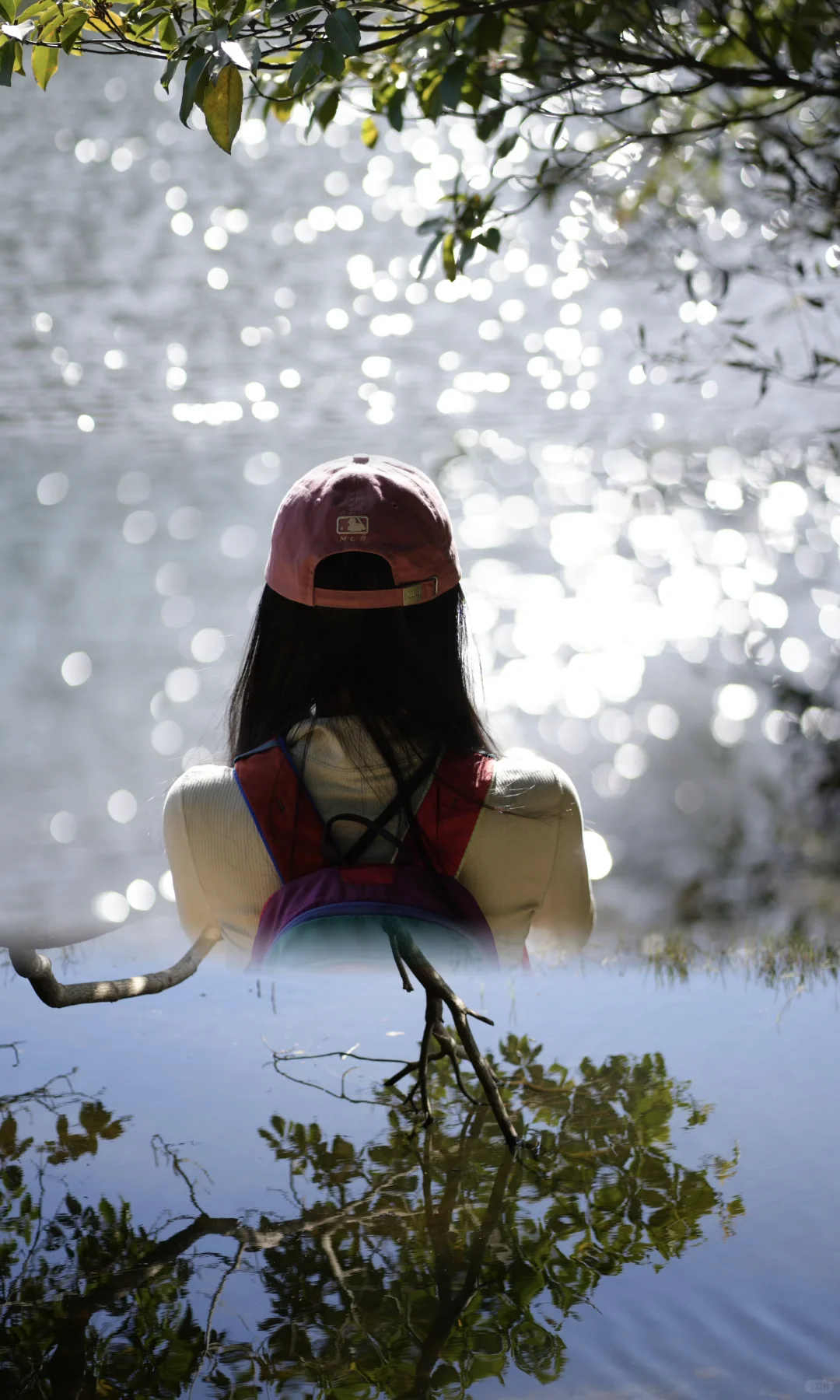 东钱湖福泉山大环线 去晚了