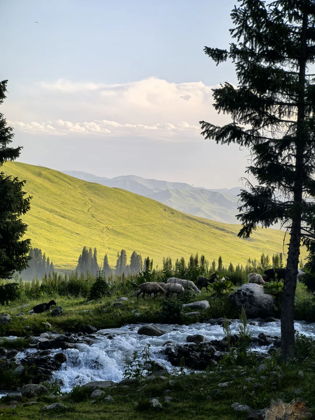 百里画廊-孟克特古道：遗落天山的荒野诗行