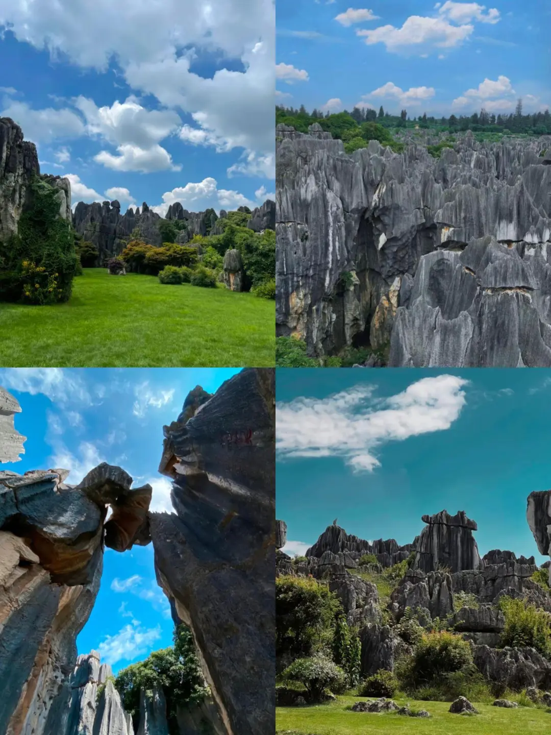 云南旅游📍昆明普洱版纳5天纯玩✨敲省心