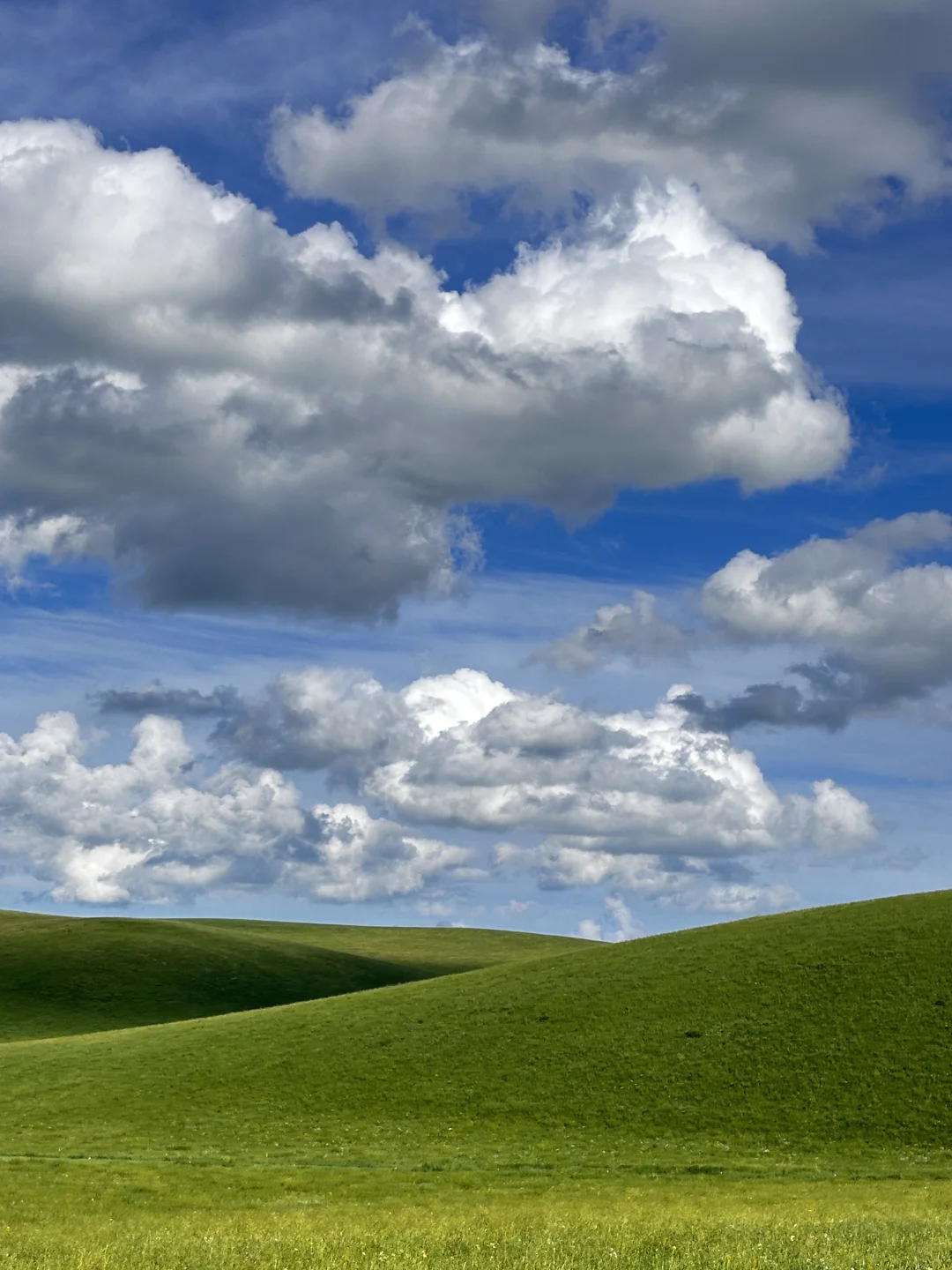 一直开到云开见草原☁️