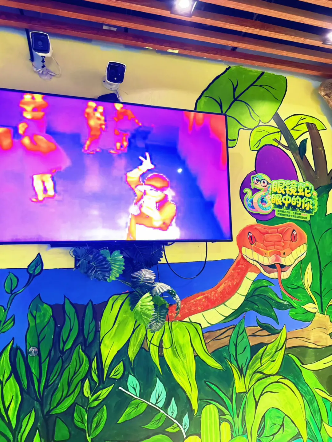 🐧哈尔滨极地公园顶流合集！一天玩够核心亮