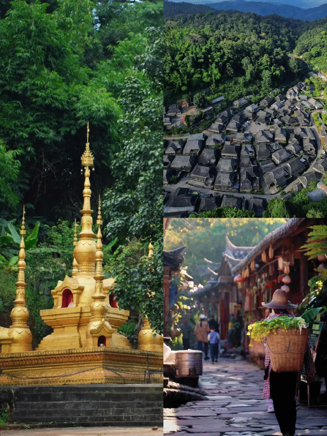 云南旅游📍昆明普洱版纳5天纯玩✨敲省心