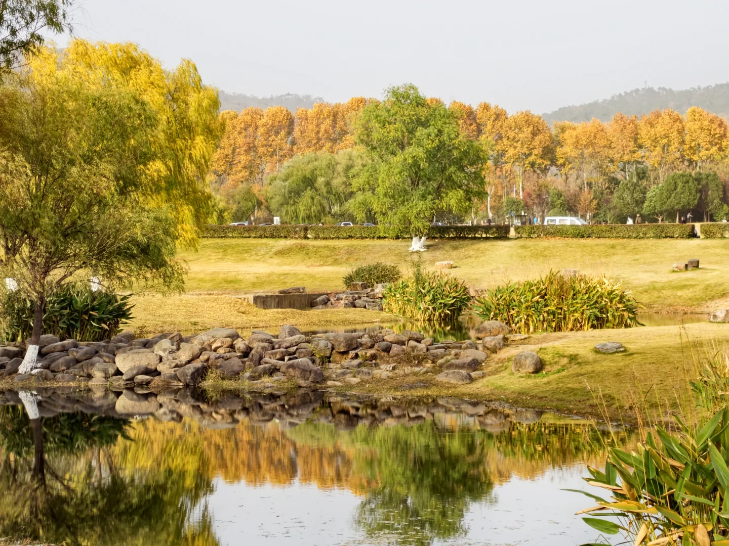 南京钟山流徽榭赏秋绝美路线