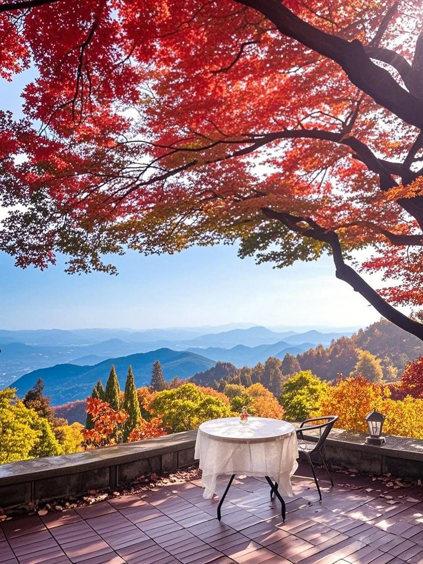 2025.11.20|莫干山的秋天红枫🍁杀疯了‼️