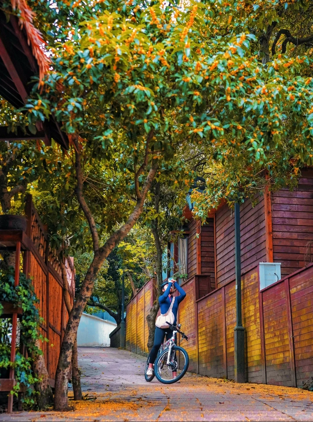 我私藏最美9条江浙沪赏秋路线🍂没有平替