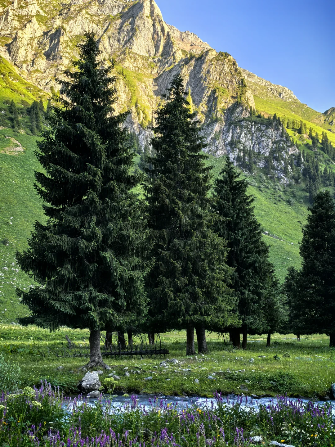 百里画廊-孟克特古道：遗落天山的荒野诗行