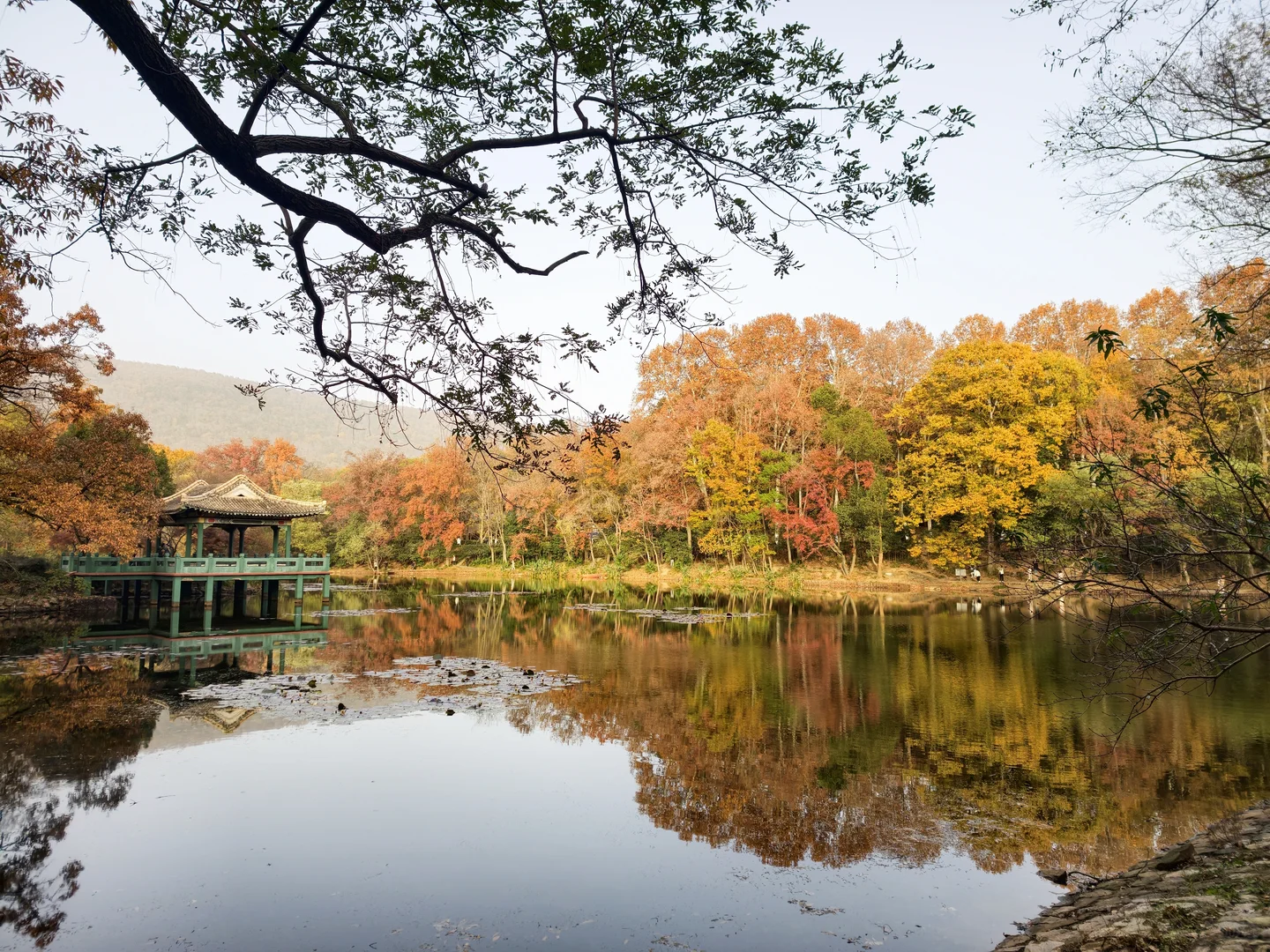 南京钟山流徽榭赏秋绝美路线