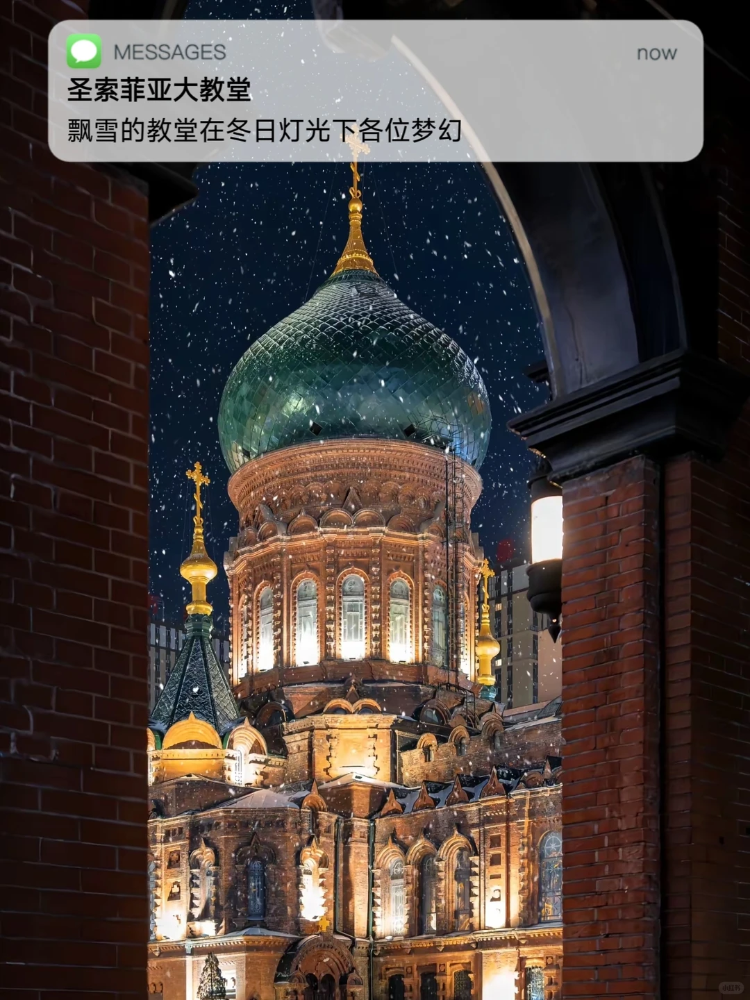 哈尔滨先玩后付💯精品小团承包冰雪童话