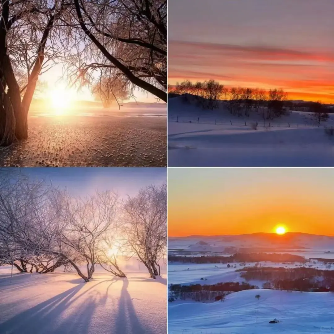 🌨️乌兰布统玩雪攻略|雪国童话照进现实