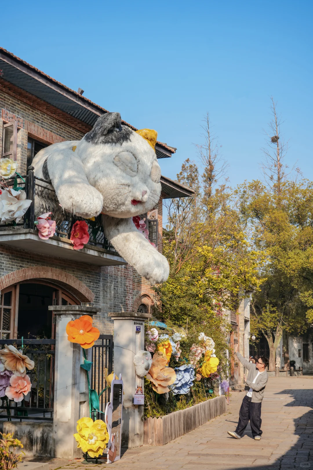 为了这棵1000年银杏，我特意去了趟浙江🍂