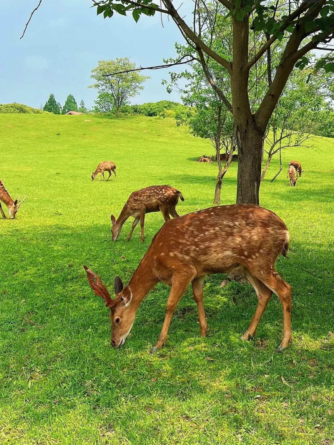 来一趟杭州吹一吹西湖的晚风