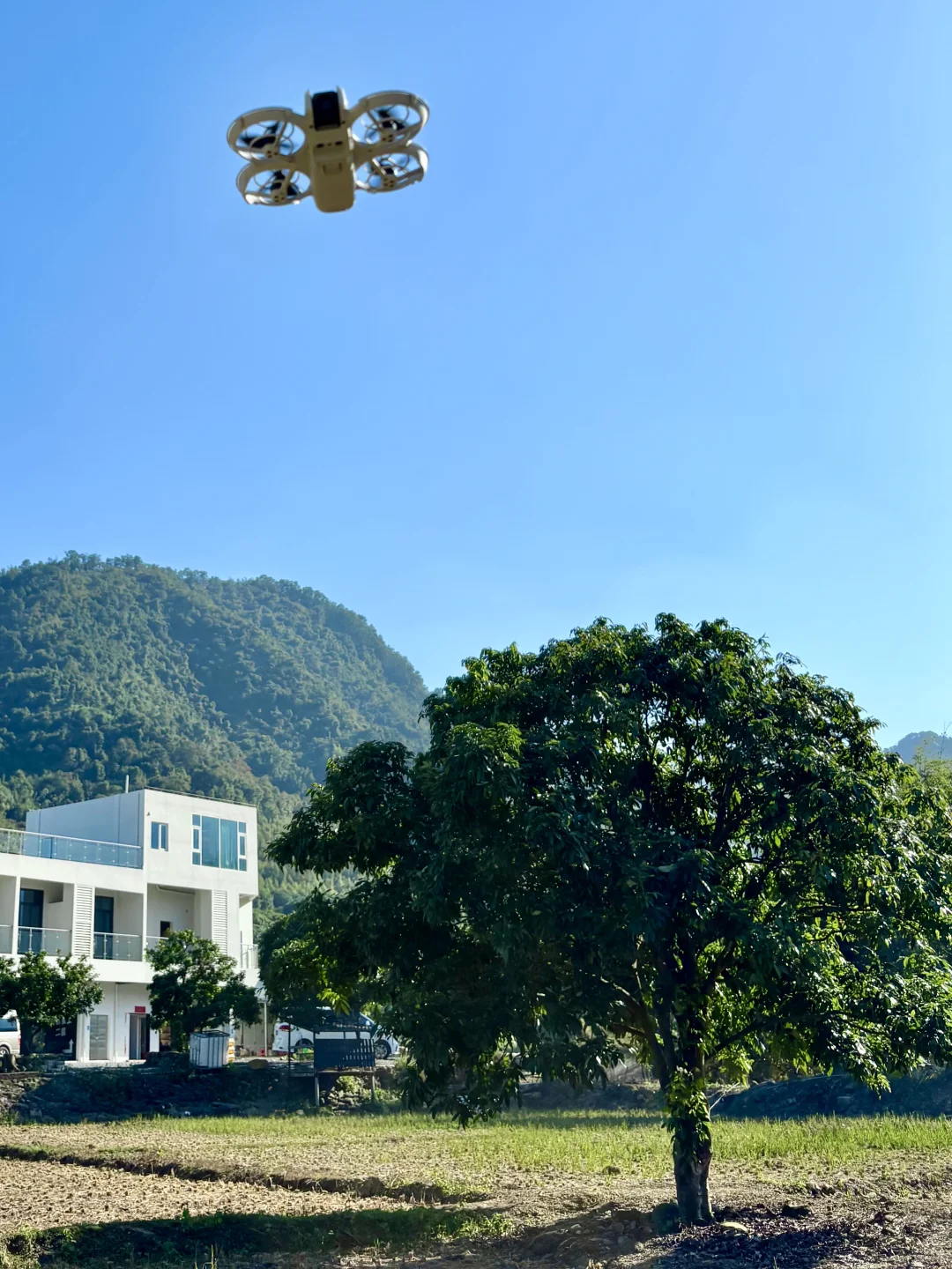 自由的风🏞️🌳🍃