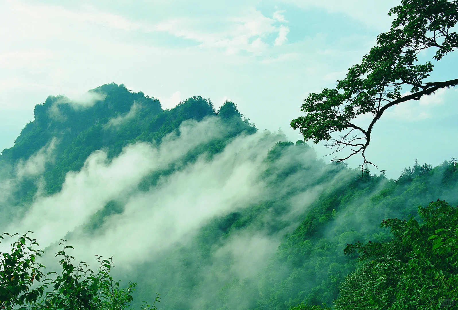 天燕景区丨闯入2400米高空冰雪秘境野人传说