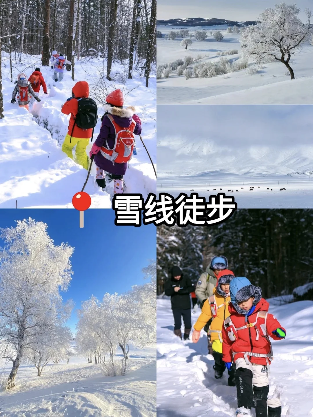 别再被骗了😭去乌兰布统这样玩,才值得❗