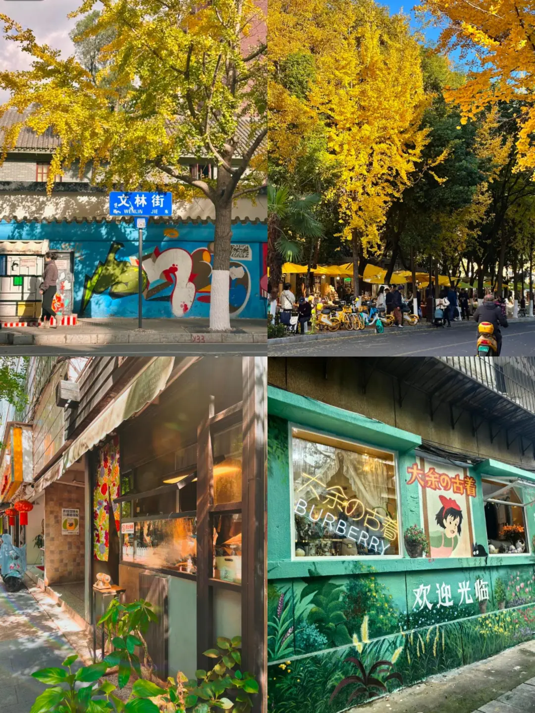 云南旅游📍昆明普洱版纳5天纯玩✨敲省心