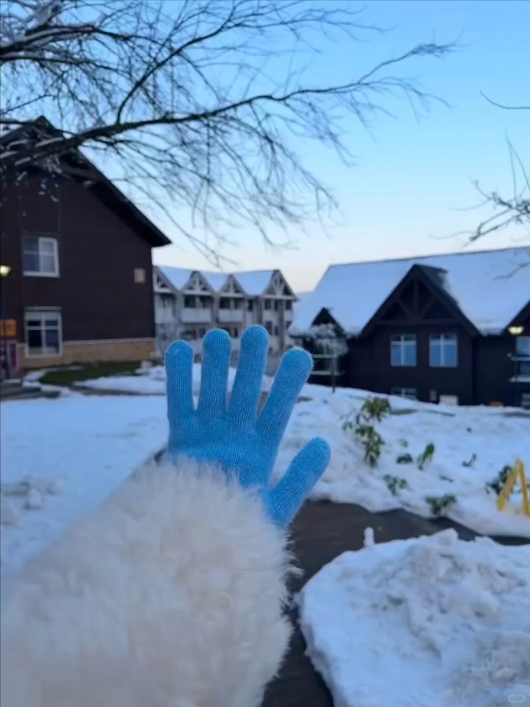 来成都住我家吧!128俩人😭雪景小木屋