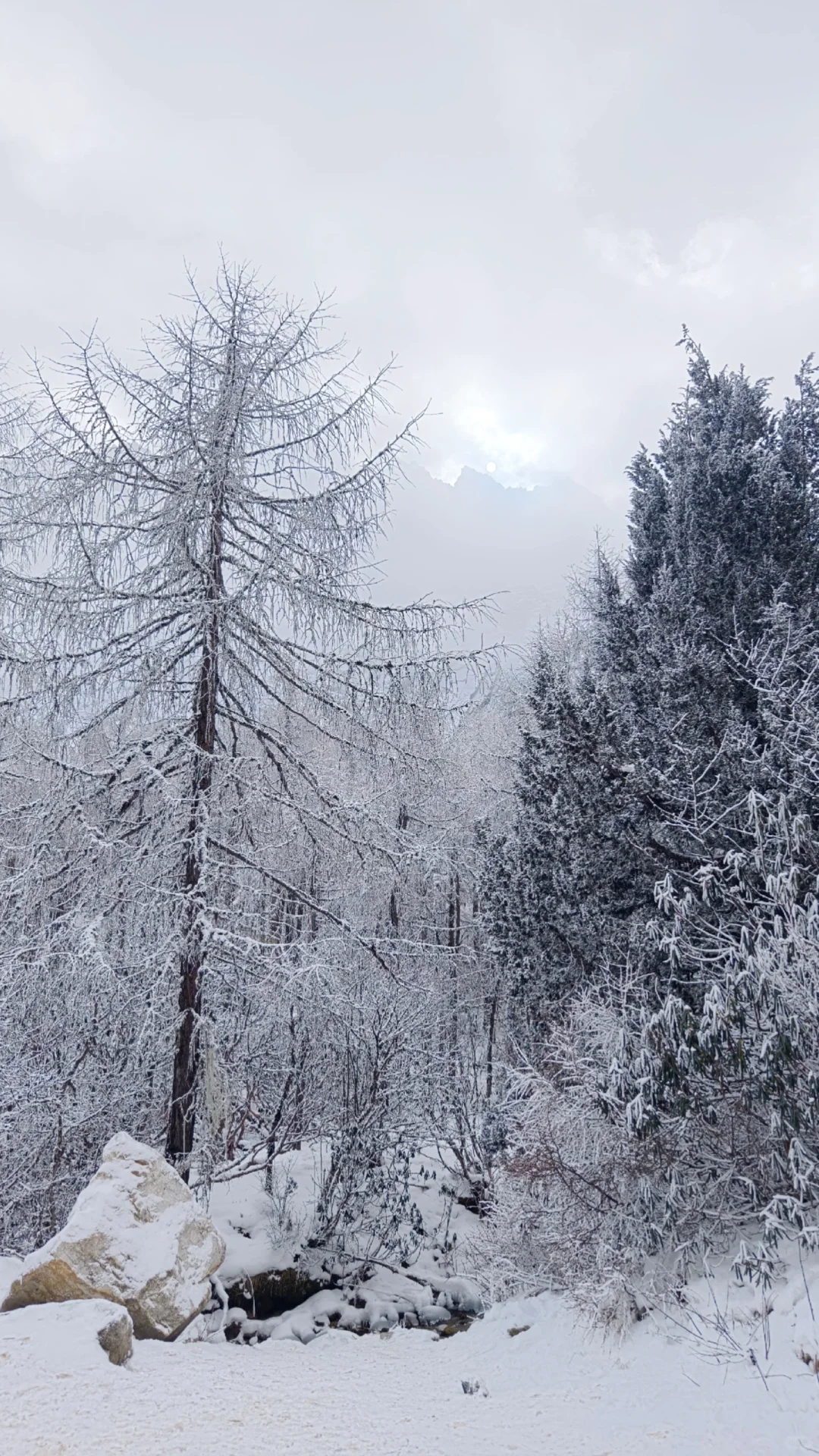 成都周边玩雪日记❄️|又免门票啦