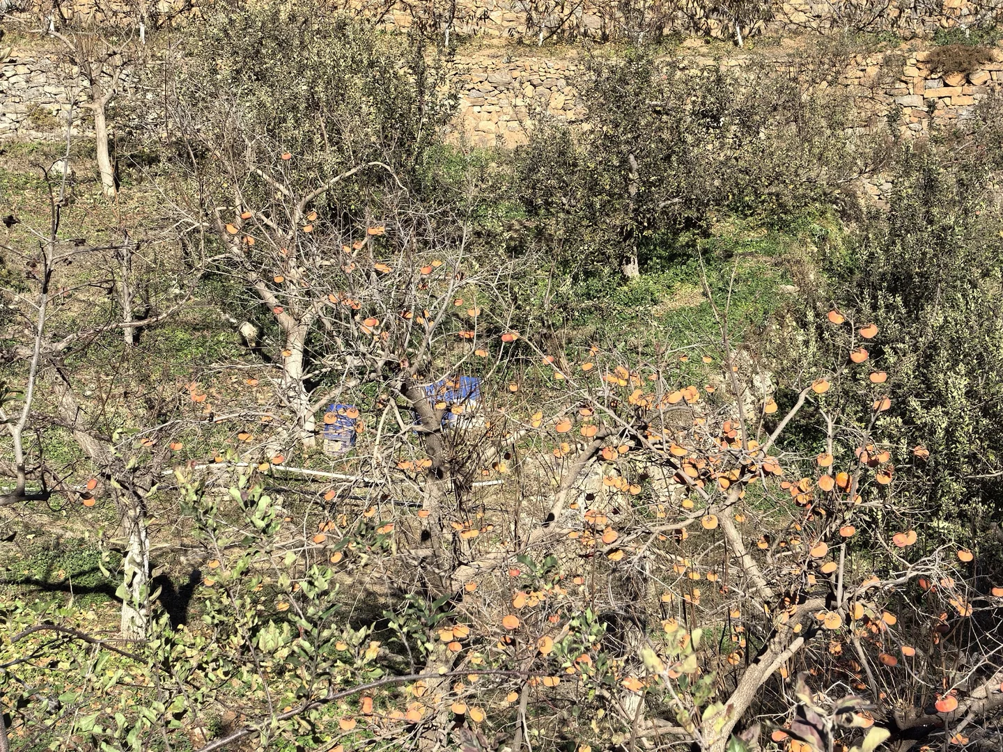 邯郸爬山：体验征服佛照山的一天