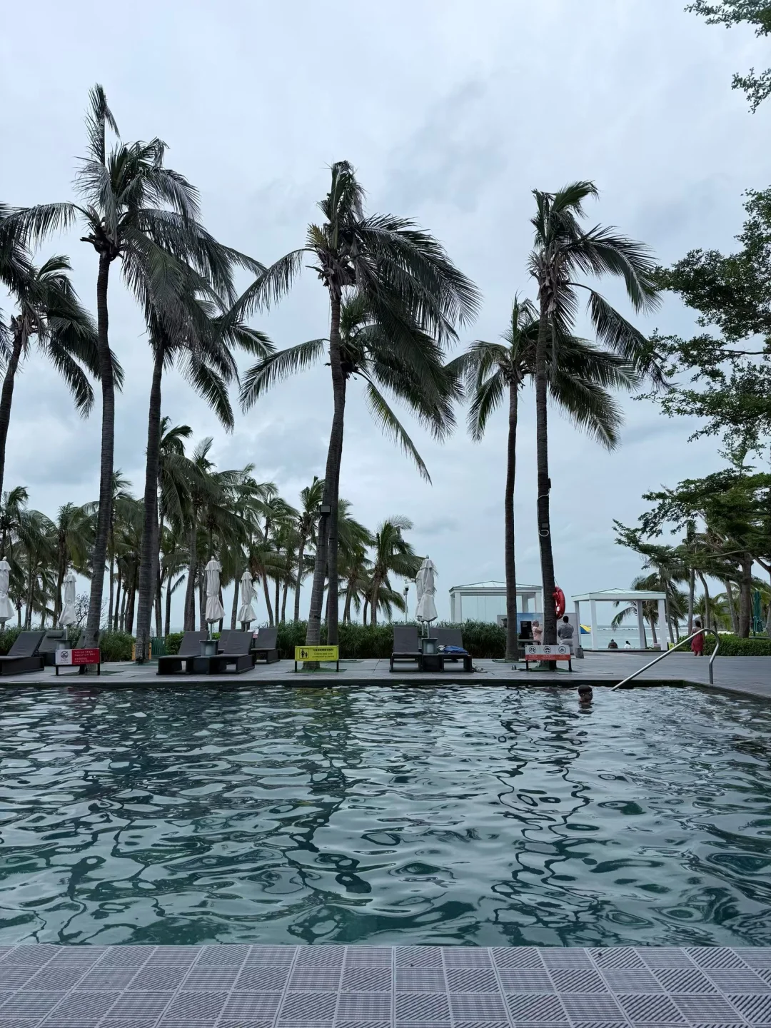 强烈推荐我报的这家三亚旅游团❗️❗️❗️