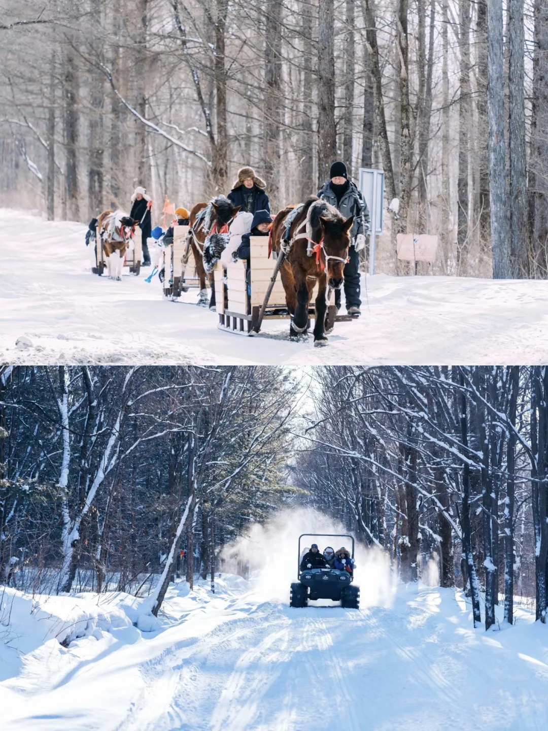 别再被骗了😭去乌兰布统这样玩,才值得❗
