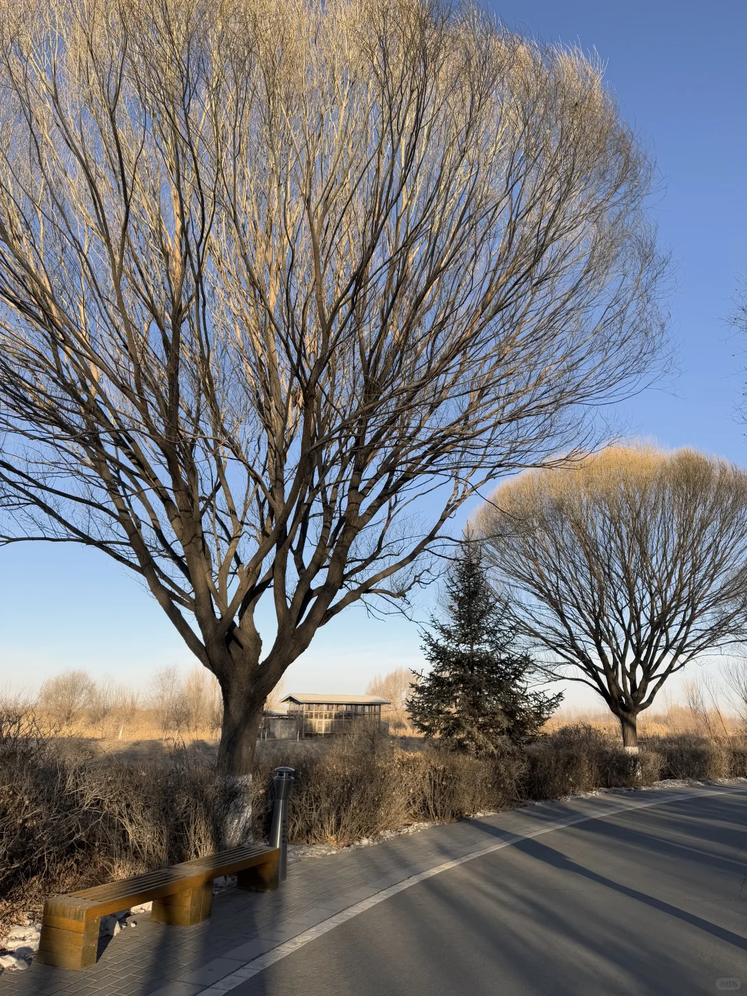 会再去一万遍甘肃张掖的!