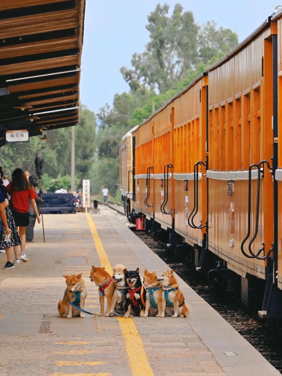 云南小众旅游地推荐✨人均1k+💰吃住全含