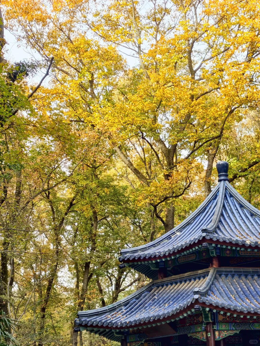 南京钟山流徽榭赏秋绝美路线