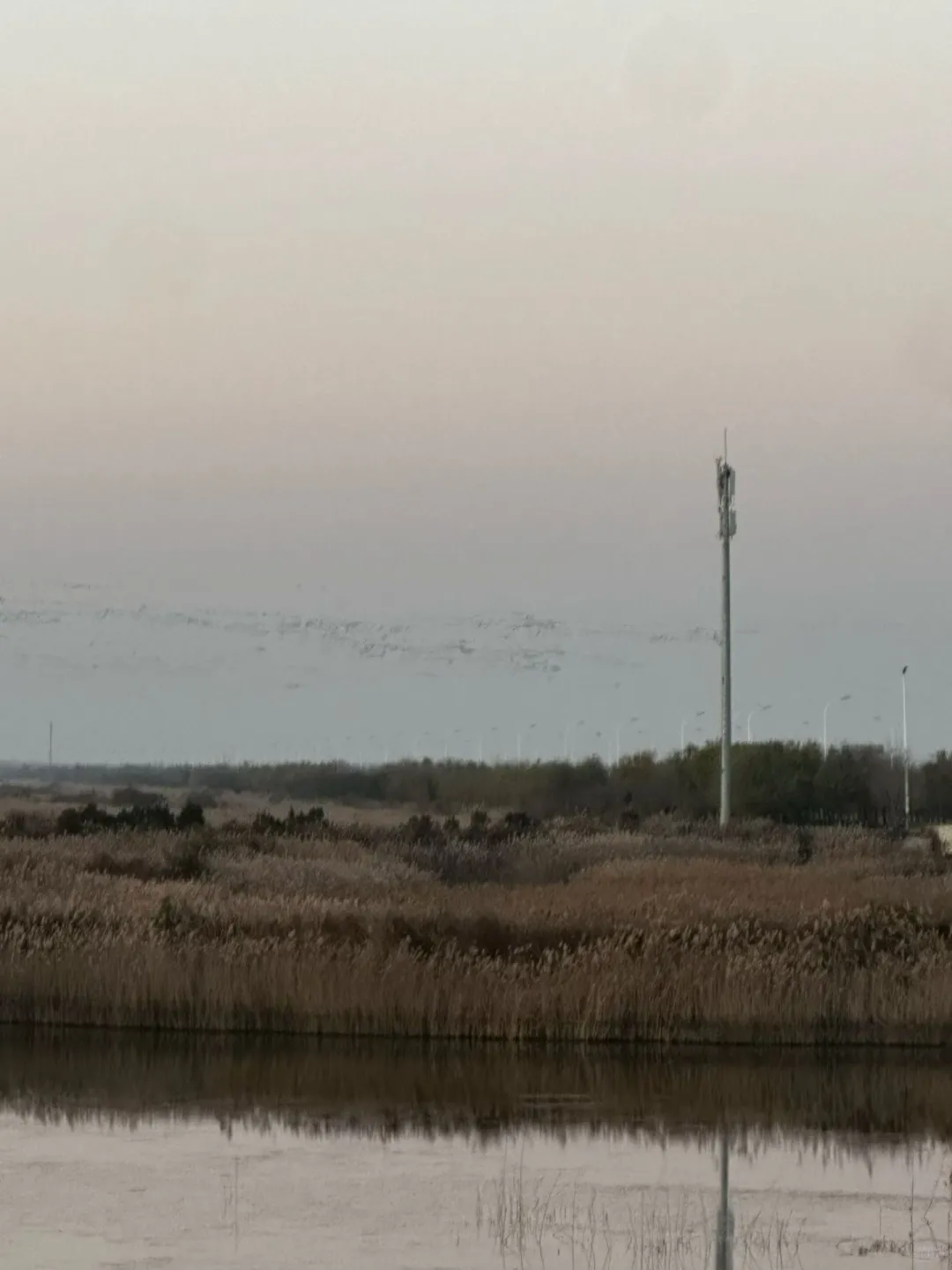 🌊东营！环华游开局，2天1夜只花100块