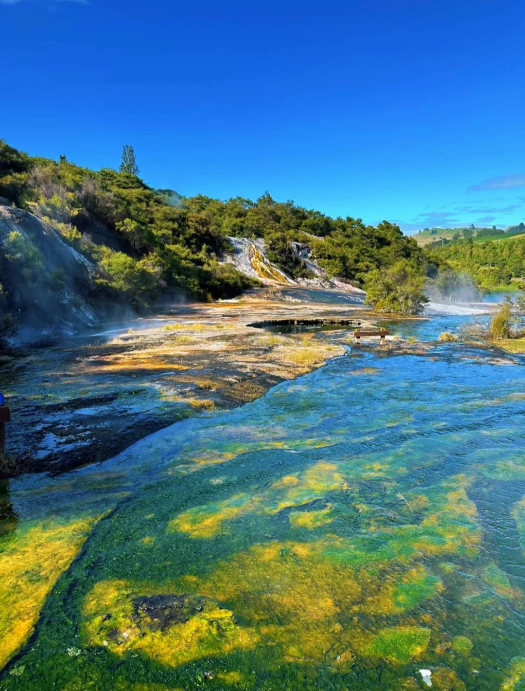 新西兰绝密仙境|乘船才能进的地热山谷🌋