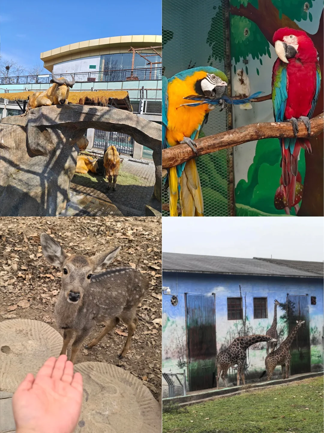 🔥秦旅游亲子卡,12月免费玩海洋馆动物园