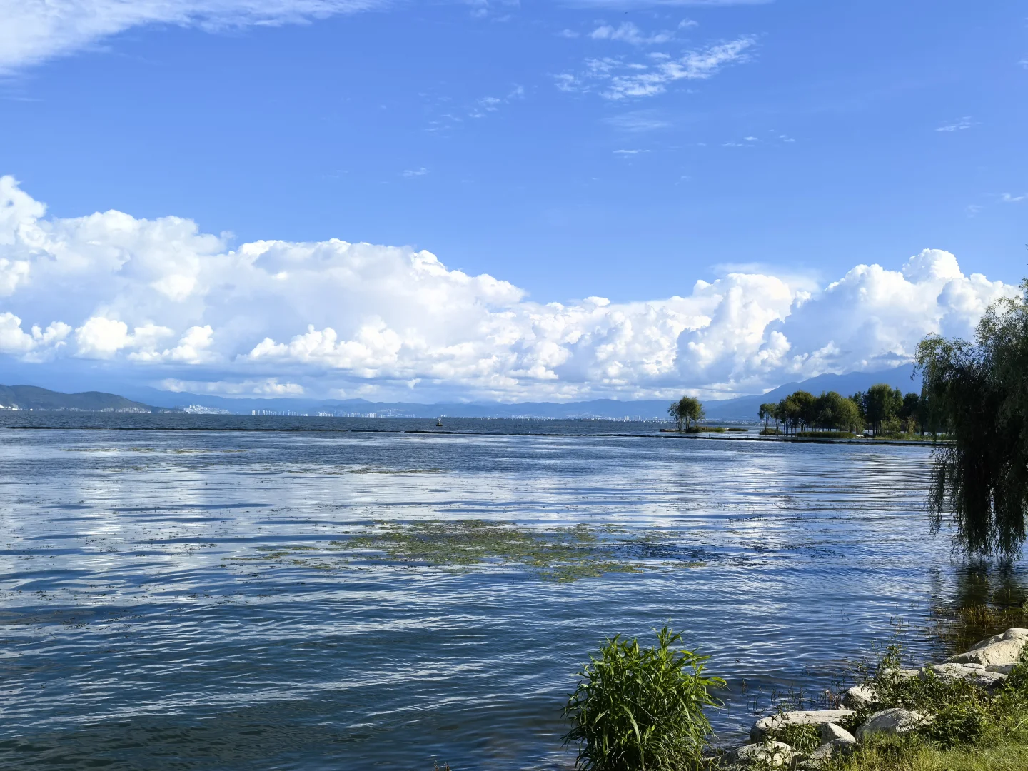 云南之大理篇~去有风的地方