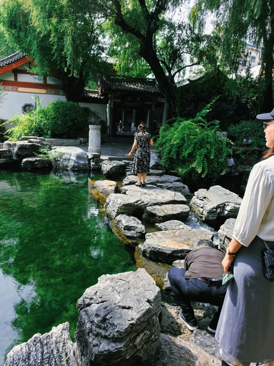 老舍笔下的济南趵突泉