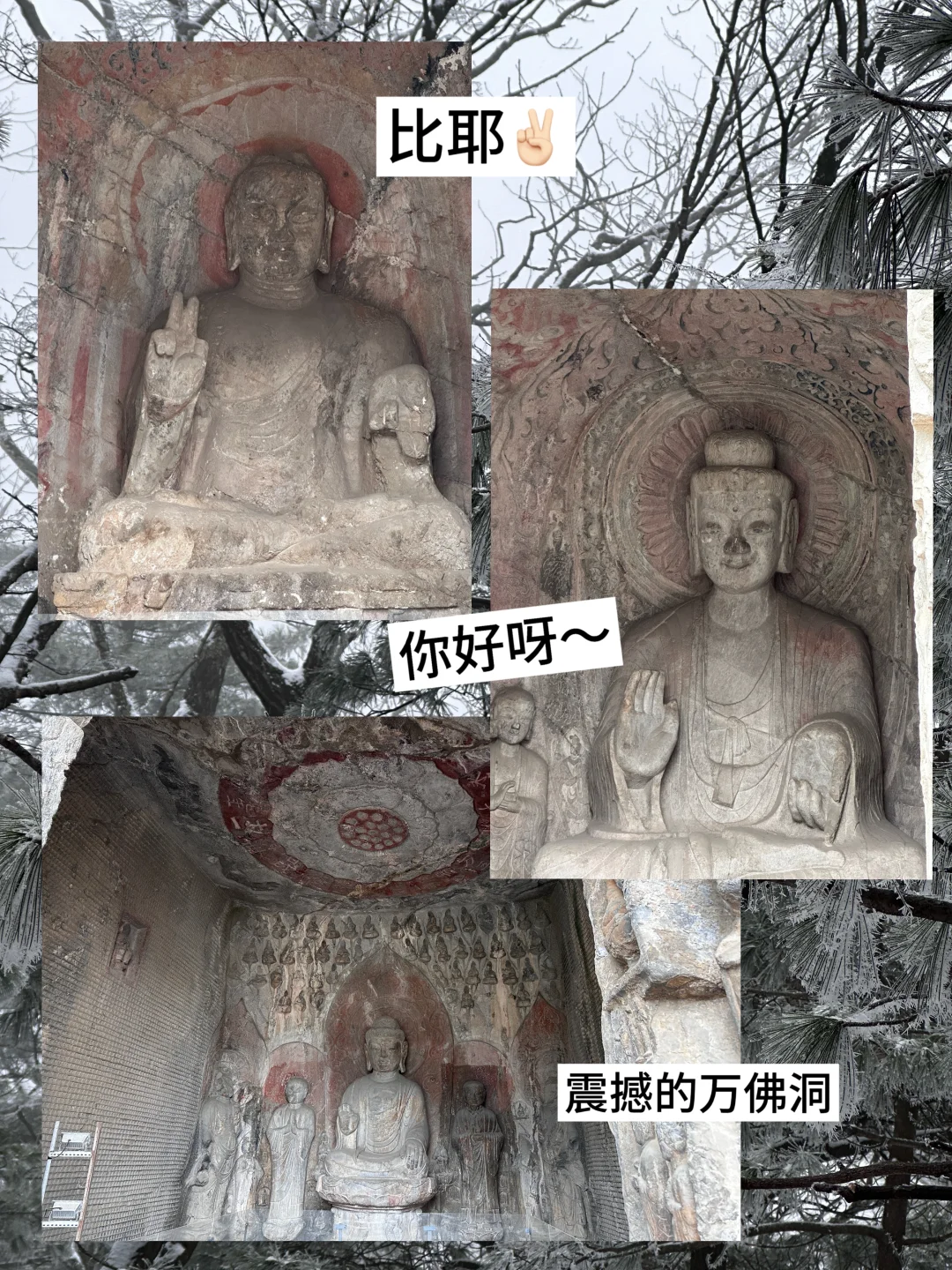 宁波→洛阳4天3夜，盛唐美学拉满✨