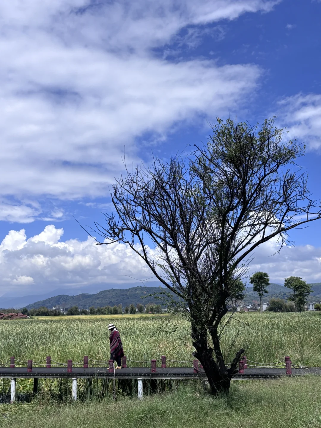 云南之大理篇~去有风的地方