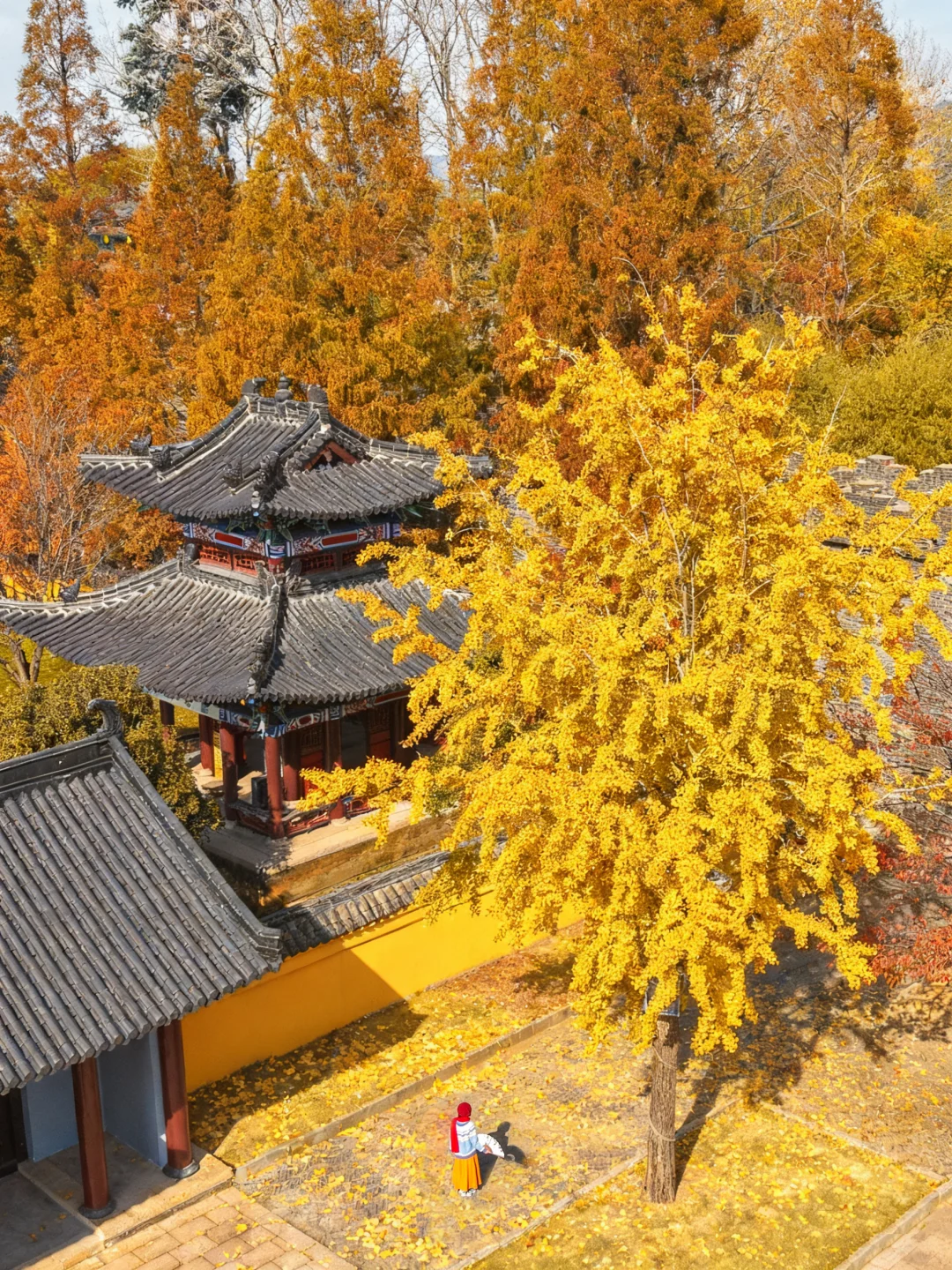 迄今为止,我最喜欢的赏秋小城出现了!美哭😭