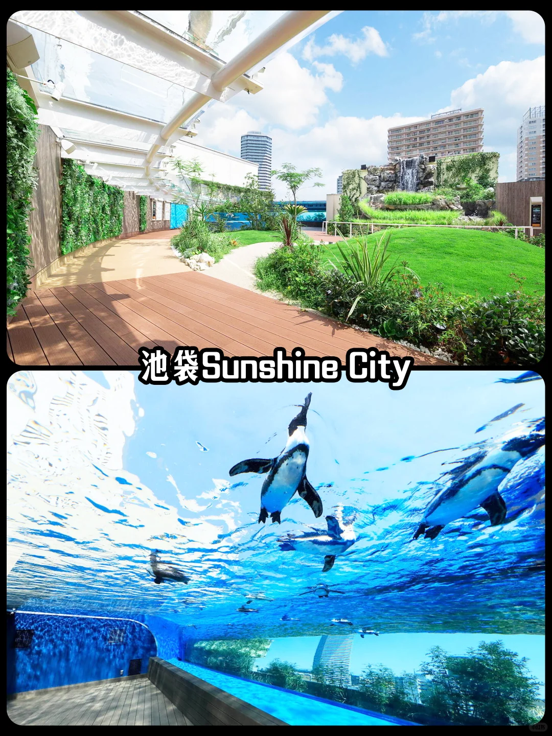 🌟【东京下雨天也不怕！10大室内景点必收藏