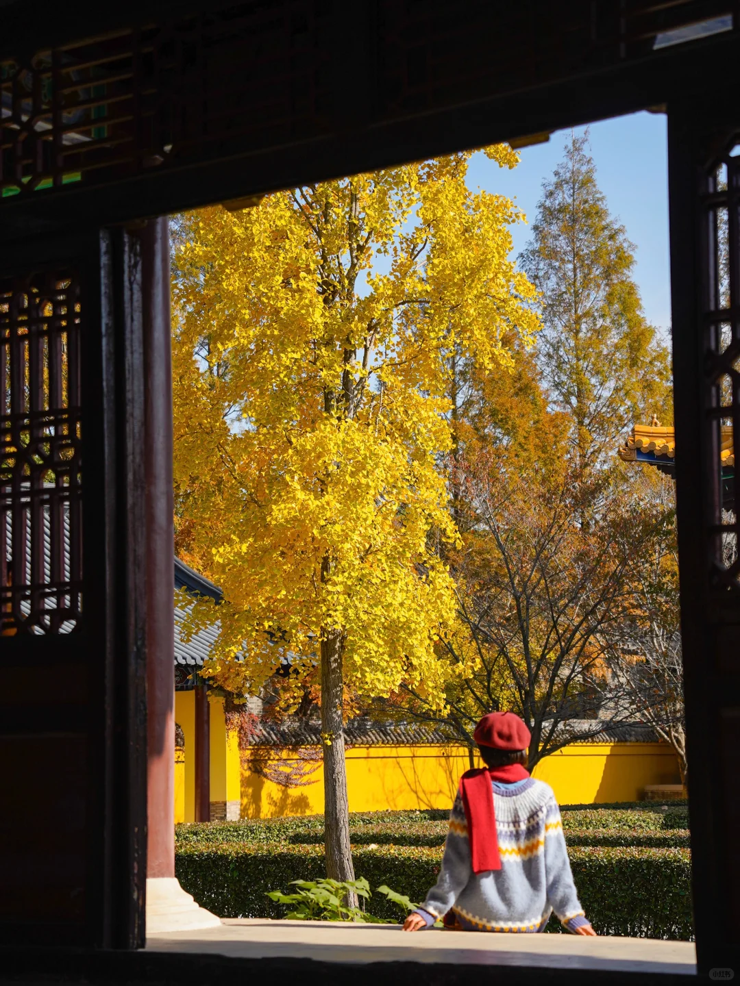 迄今为止,我最喜欢的赏秋小城出现了!美哭😭