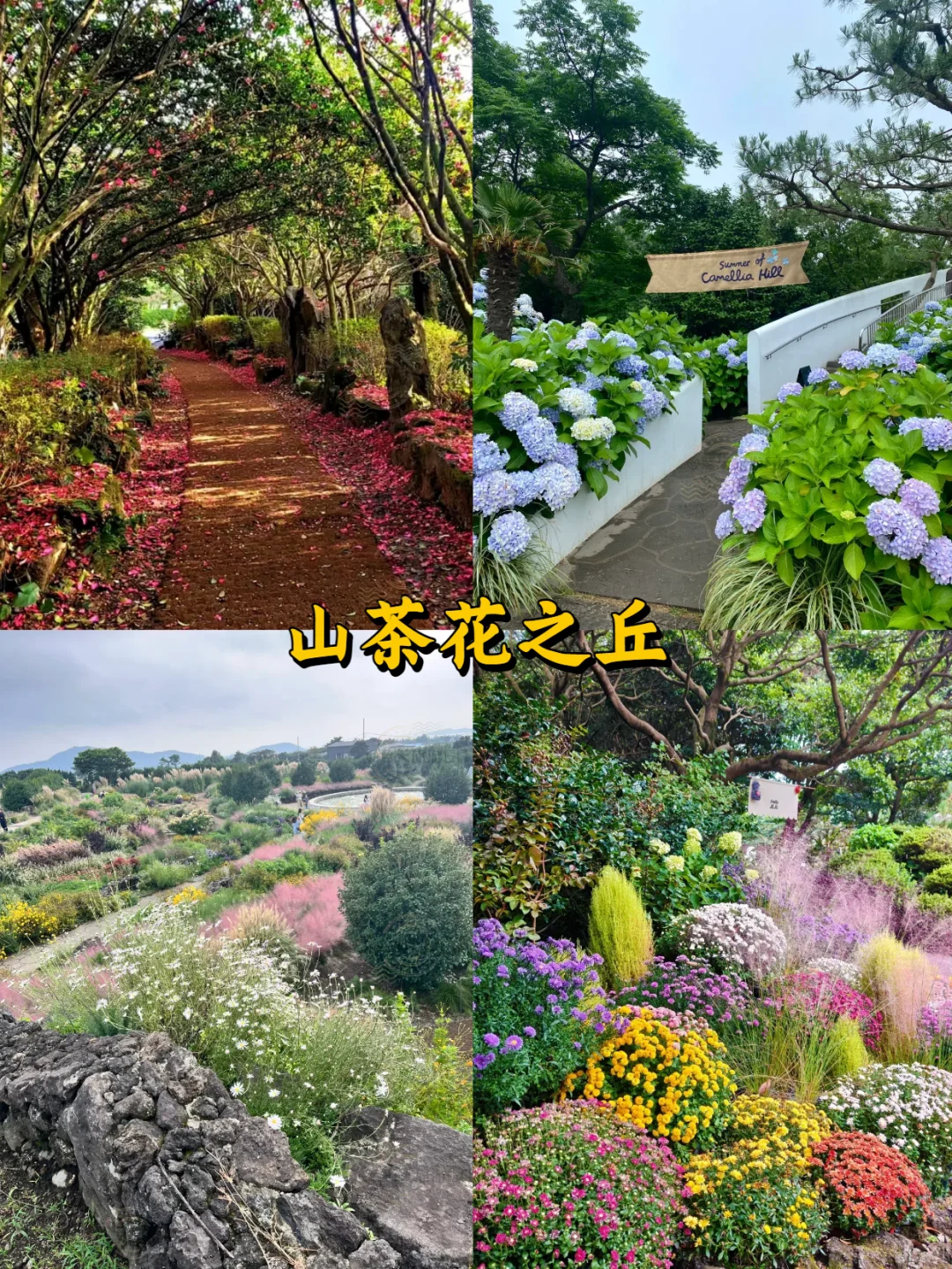 懒人必看❗️纯干货不绕路✅济州岛攻略