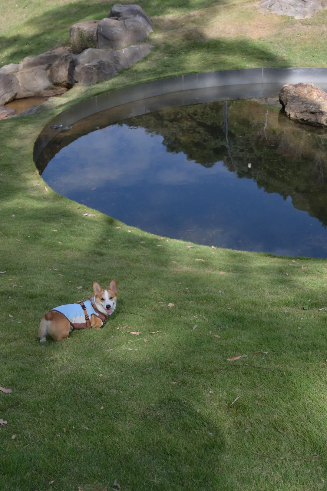 广州从化｜天人山水｜周末遛狗