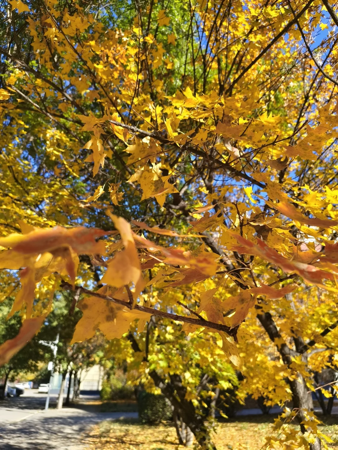 📍济南出发|周末两日游好去处推荐~