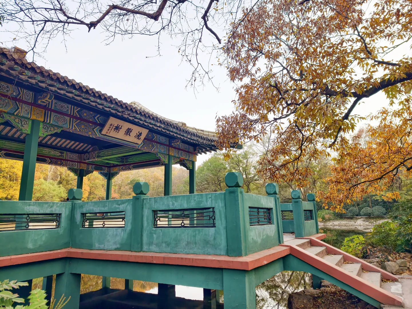 南京钟山流徽榭赏秋绝美路线