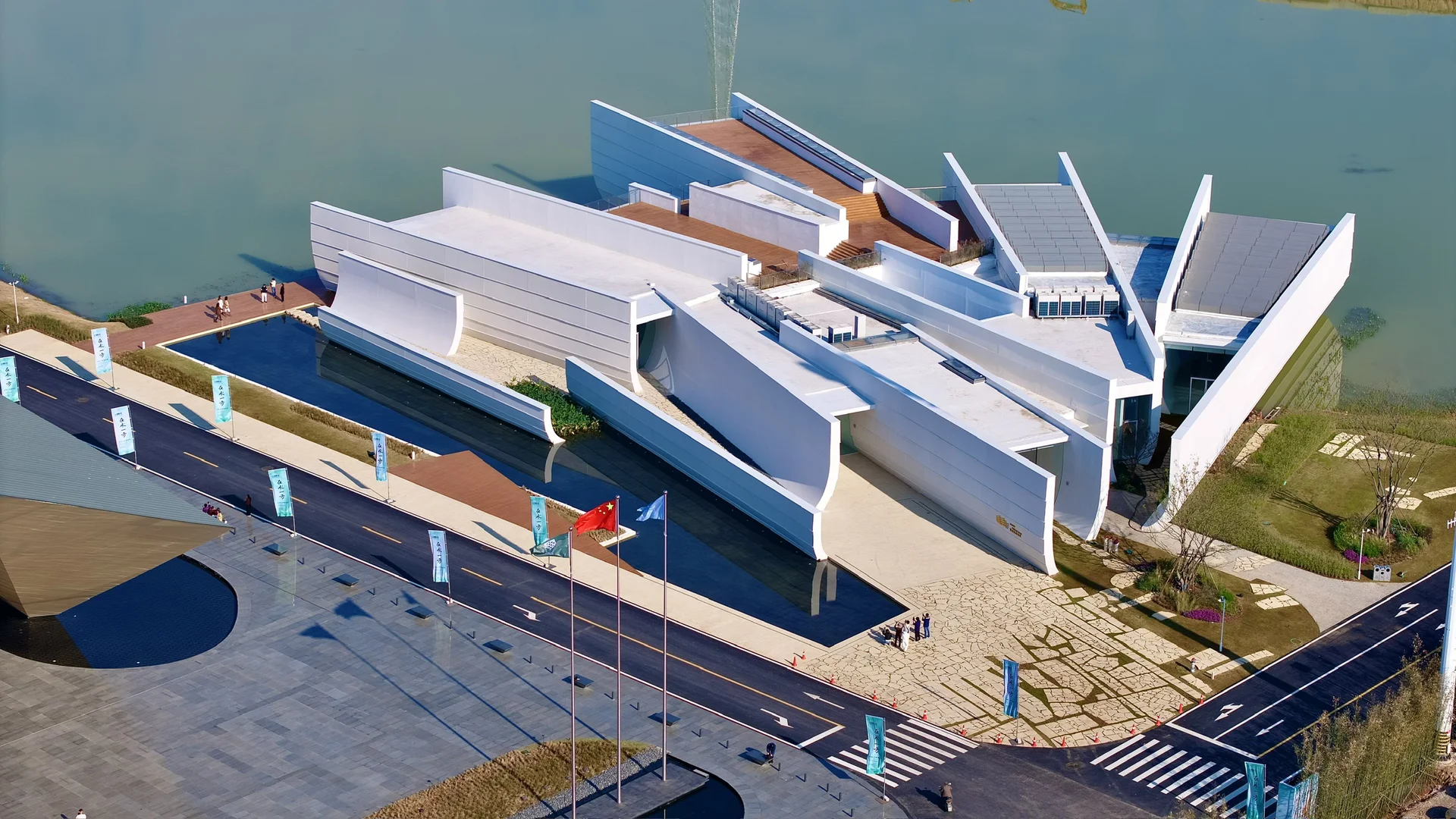 在武汉蔡甸找到了鹿客岛的平替,乌桕树已红