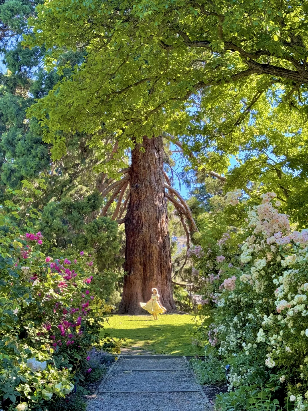 这辈子都舍不得删的live图🌿