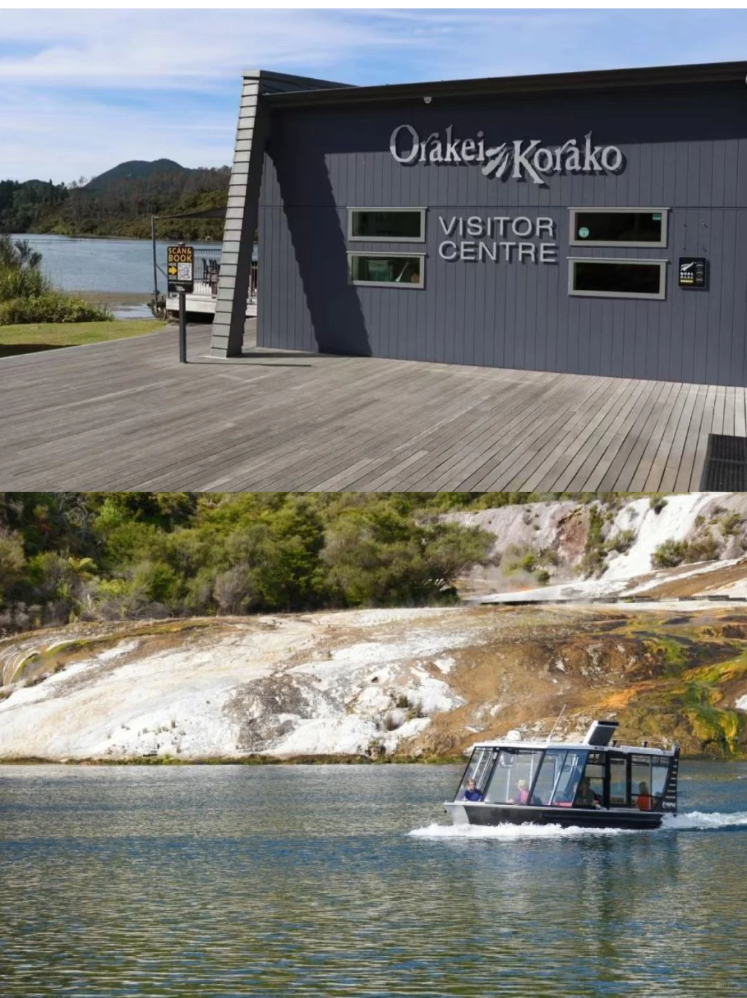 新西兰绝密仙境|乘船才能进的地热山谷🌋